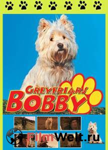     / The Adventures of Greyfriars Bobby 