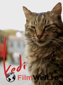 Смотреть интересный онлайн фильм Город кошек - Kedi Смотреть интересный онлайн фильм Город кошек - Kedi