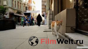 Смотреть интересный онлайн фильм Город кошек / Kedi