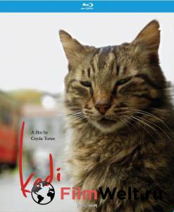 Смотреть интересный онлайн фильм Город кошек