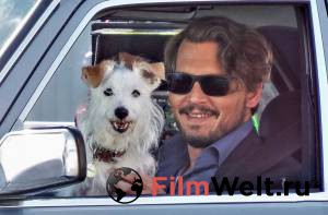 �� �� ������ The Professor �������� ������