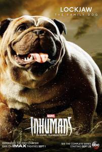    ( 2017  ...) - Inhumans - [2017 (1 )] 