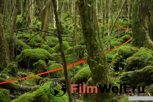 Лес самоубийц Jukai Mura смотреть онлайн бесплатно