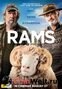 Фильм Бараны () смотреть онлайн Фильм Бараны () смотреть онлайн