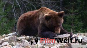 Смотреть фильм онлайн Байкал. Удивительные приключения Юмы (2020) бесплатно