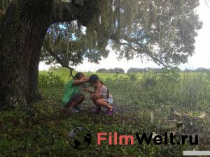 Проект Флорида 2017 онлайн кадр из фильма