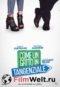      - Come un gatto in tangenziale - [2017]  