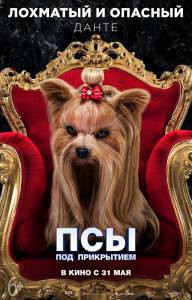 Смотреть фильм Псы под прикрытием - Show Dogs - 2018 онлайн Смотреть фильм Псы под прикрытием - Show Dogs - 2018 онлайн