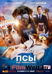 Смотреть фильм онлайн Псы под прикрытием / Show Dogs бесплатно Смотреть фильм онлайн Псы под прикрытием / Show Dogs бесплатно