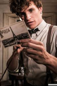 �������� ���������� ������ ����� �������������� �����: ������������ ����-��-������ Fantastic Beasts: The Crimes of Grindelwald 2018