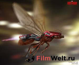Смотреть интересный фильм Человек-муравей онлайн