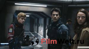     :    / Maze Runner: The Death Cure / [2018] 