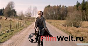 ���� ������ �������� 2018 ������ ���� �� ������