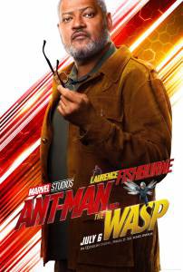     -   / Ant-Man and the Wasp
