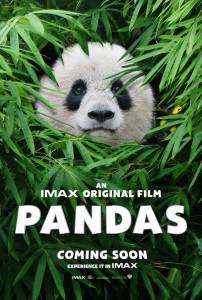 Смотреть Панды 3D - Pandas онлайн без регистрации Смотреть Панды 3D - Pandas онлайн без регистрации
