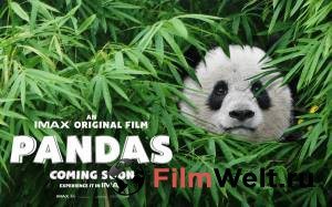 Смотреть интересный фильм Панды 3D 2018 онлайн