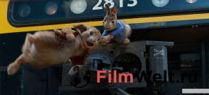 Фильм онлайн Кролик Питер бесплатно в HD