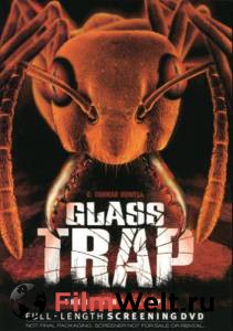    - Glass Trap - 2005  