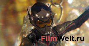 Смотреть интересный фильм Человек-муравей и Оса / Ant-Man and the Wasp онлайн