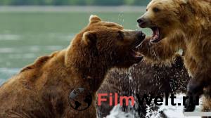 Смотреть фильм онлайн Медведи Камчатки. Начало жизни - [2018] бесплатно