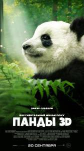 Панды 3D Pandas [2018] смотреть онлайн
