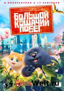 Смотреть кинофильм Большой кошачий побег бесплатно онлайн Смотреть кинофильм Большой кошачий побег бесплатно онлайн