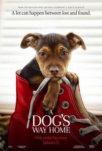 Смотреть кинофильм Путь домой / A Dog's Way Home / (2019) бесплатно онлайн Смотреть кинофильм Путь домой / A Dog's Way Home / (2019) бесплатно онлайн