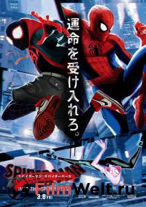 Человек-паук: Через вселенные Spider-Man: Into the Spider-Verse онлайн фильм бесплатно Человек-паук: Через вселенные Spider-Man: Into the Spider-Verse онлайн фильм бесплатно