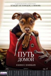 Бесплатный фильм Путь домой - (2019) Бесплатный фильм Путь домой - (2019)