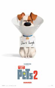 Смотреть онлайн фильм Тайная жизнь домашних животных 2 / The Secret Life of Pets 2 Смотреть онлайн фильм Тайная жизнь домашних животных 2 / The Secret Life of Pets 2