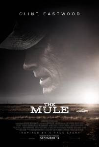    The Mule