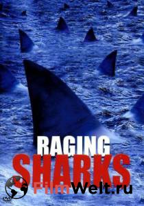      () - Raging Sharks - 2005