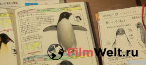 Фильм онлайн Тайная жизнь пингвинов
