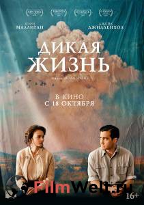 Онлайн кино Дикая жизнь Онлайн кино Дикая жизнь