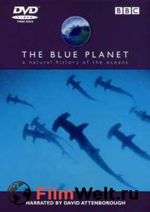 Смотреть фильм BBC: Голубая планета (мини-сериал) / The Blue Planet / 2001 (1 сезон) онлайн Смотреть фильм BBC: Голубая планета (мини-сериал) / The Blue Planet / 2001 (1 сезон) онлайн