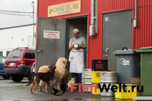    - A Dog's Way Home - (2019) online
