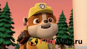      - Paw Patrol3   