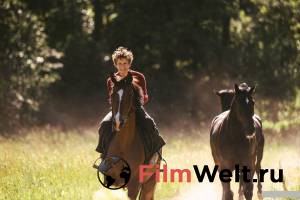 Смотреть увлекательный фильм Угоняя лошадей - [2019] онлайн