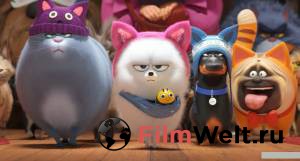     &nbsp;2 The Secret Life of Pets2  