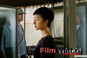 Смотреть увлекательный фильм Озеро диких гусей / Nan fang che zhan de ju hui онлайн