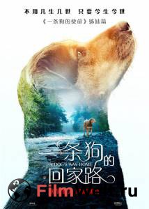       / A Dog's Way Home / [2019]