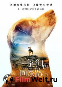 Путь домой - A Dog's Way Home онлайн без регистрации Путь домой - A Dog's Way Home онлайн без регистрации