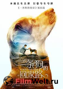 Бесплатный фильм Путь домой - A Dog's Way Home - (2019) Бесплатный фильм Путь домой - A Dog's Way Home - (2019)