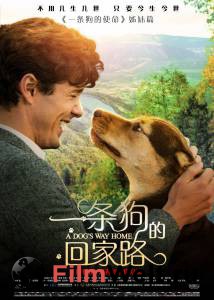 Смотреть кинофильм Путь домой / A Dog's Way Home / (2019) бесплатно онлайн