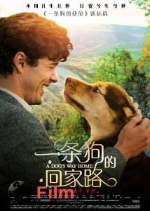   A Dog's Way Home [2019]   