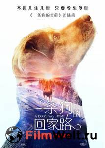 Смотреть Путь домой - A Dog's Way Home бесплатно без регистрации Смотреть Путь домой - A Dog's Way Home бесплатно без регистрации