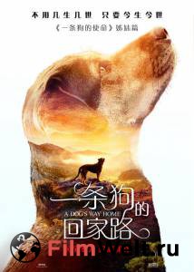 Смотреть кинофильм Путь домой A Dog's Way Home онлайн Смотреть кинофильм Путь домой A Dog's Way Home онлайн