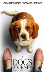 Смотреть кинофильм Собачья жизнь&nbsp;2 / A Dog's Journey / [2019] бесплатно онлайн