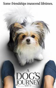 Бесплатный онлайн фильм Собачья жизнь 2 A Dog's Journey Бесплатный онлайн фильм Собачья жизнь 2 A Dog's Journey
