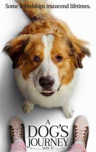 Кино онлайн Собачья жизнь&nbsp;2 / A Dog's Journey смотреть бесплатно